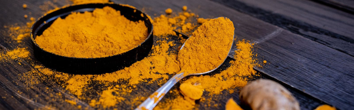 NovaSOL® Curcumin aus Kurkuma mit hoher Bioverfügbarkeit