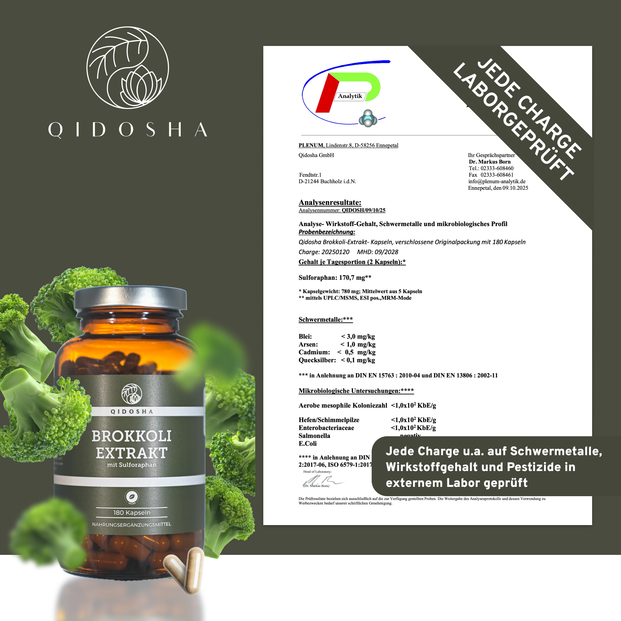 Brokkoli Extrakt mit 13% Sulforaphan im dunklen Glas, umgeben von Brokkoliröschen und Zertifikat. Premium, laborgeprüfte Qualität, ohne Füllstoffe, für drei Monate.