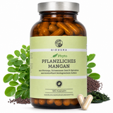Pflanzliches Mangan aus Bio Moringa, Bio Spirulina & Bio Schwarzem Senf