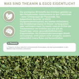 Infografik zu L-Theanin & EGCG aus Grüntee-Extrakt, erklärt deren antioxidative Eigenschaften und stressmindernde Wirkung. Premium, ohne Zusatzstoffe, laborgeprüft, nachhaltige Produktion.