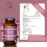 Echinacea Extrakt