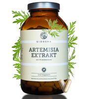 Braunes Glas mit Etikett QIDOSHA ARTEMISIA EXTRAKT, 240 vegane Kapseln, 5% Artemisinin, laborgeprüfte Qualität, ohne Zusatzstoffe, premium Nahrungsergänzungsmittel in nachhaltiger Verpackung.