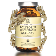 QIDOSHA Polyporus (Eichhase) Extrakt: Premium Nahrungsergänzungsmittel, 180 vegane Kapseln, standardisiert auf Polysaccharide und Beta-Glucane. Enthält ausschließlich reinen Pilzextrakt ohne Zusatzstoffe.