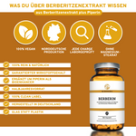 Berberin aus Berberitzenextrakt plus Piperin als Bioenhancer: Premium, labortestierte Qualität, 180 vegane Kapseln, ohne Füllstoffe, in Glasverpackung, hergestellt in Deutschland.