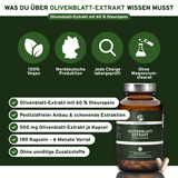 Olivenblatt-Extrakt mit 60% Oleuropein