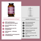 Echinacea Extrakt