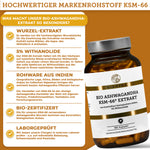 Bio Ashwagandha Extrakt KSM-66® in einer 180-Kapsel-Glasflasche, vegan, laborgeprüft, aus biologischem Anbau, höchste Qualität, ohne Füllstoffe, von QIDOSHA.