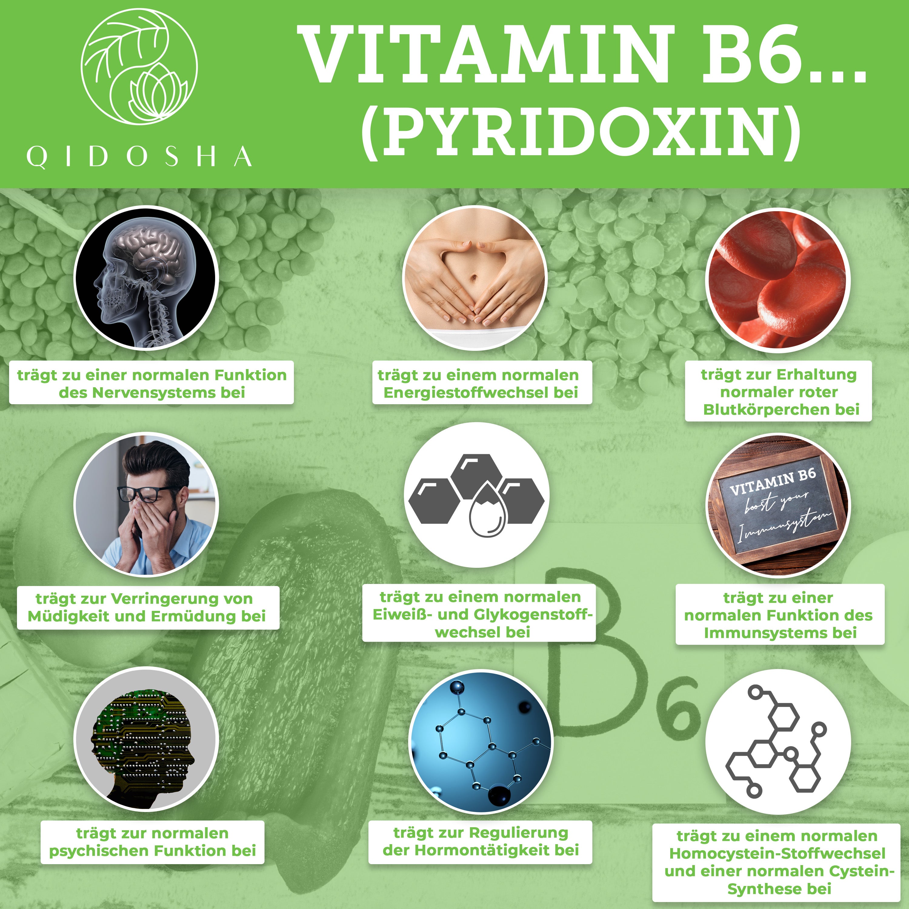 Vitamin B Komplex bioaktiv auf Quinoa-Basis: Infografik von QIDOSHA zeigt neun gesundheitliche Vorteile von Vitamin B6, premium und laborgeprüfte Qualität, ohne Füll- oder Zusatzstoffe.