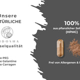 Pilz Komplex
