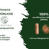 Grüntee-Extrakt (entkoffeiniert)