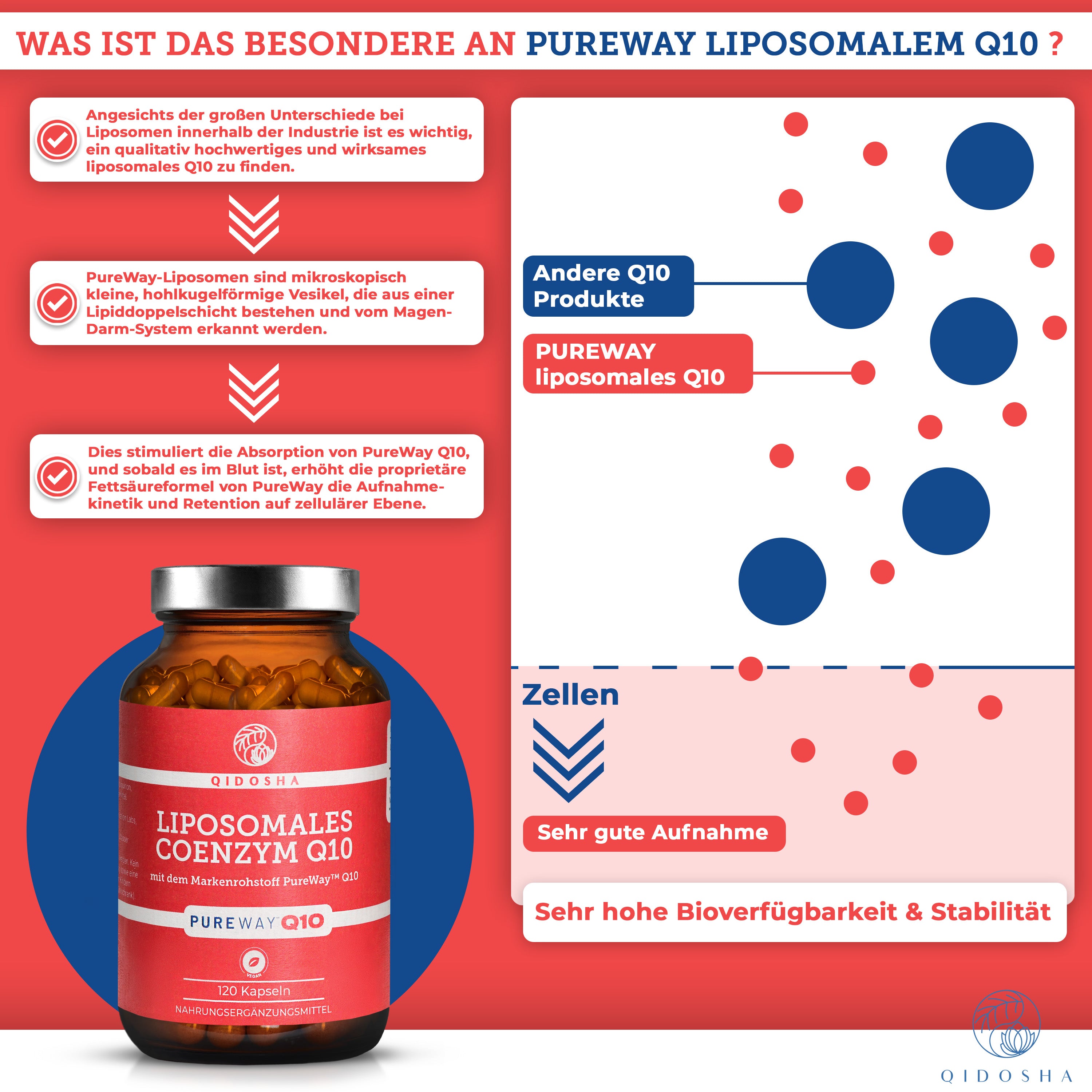 Liposomales Coenzym Q10 von QIDOSHA mit PureWay™ Q10 für verbesserte Bioverfügbarkeit, in braunem Glas mit 120 Kapseln, ohne Füll- oder Zusatzstoffe.