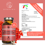 Schisandra Extrakt mit 10% Schisandrin, Premium-Qualität, 180 Kapseln in Glas, laborgeprüft, ohne Füllstoffe, mit Schisandra-Beeren und Prüfzertifikat von PLENUM Analytik im Hintergrund.